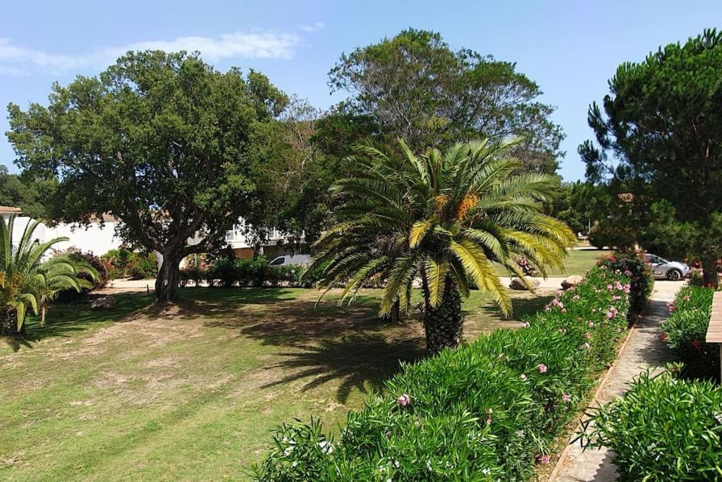 לצ'י Fiori Di Cala Rossa Appartement T3 Dans Residence Hotelliere Chez Virginie מראה חיצוני תמונה